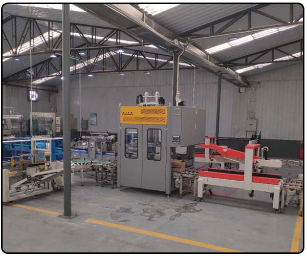 自動化牛奶裝箱機實拍圖展示