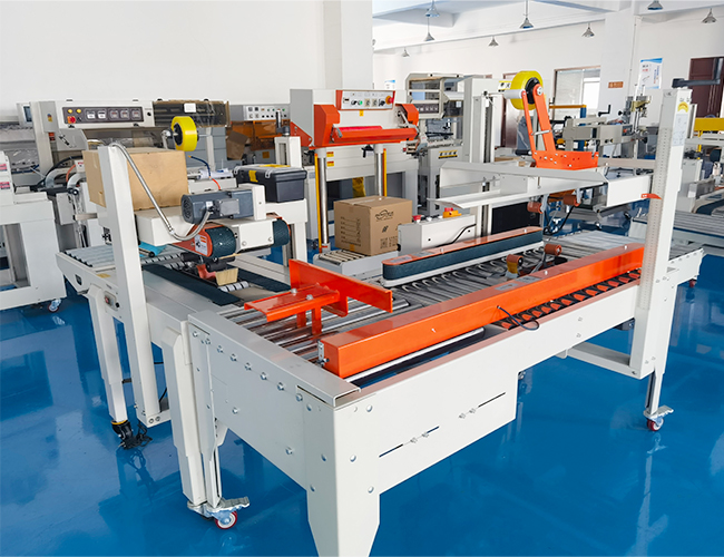 鄭州全自動(dòng)裝箱機(jī)